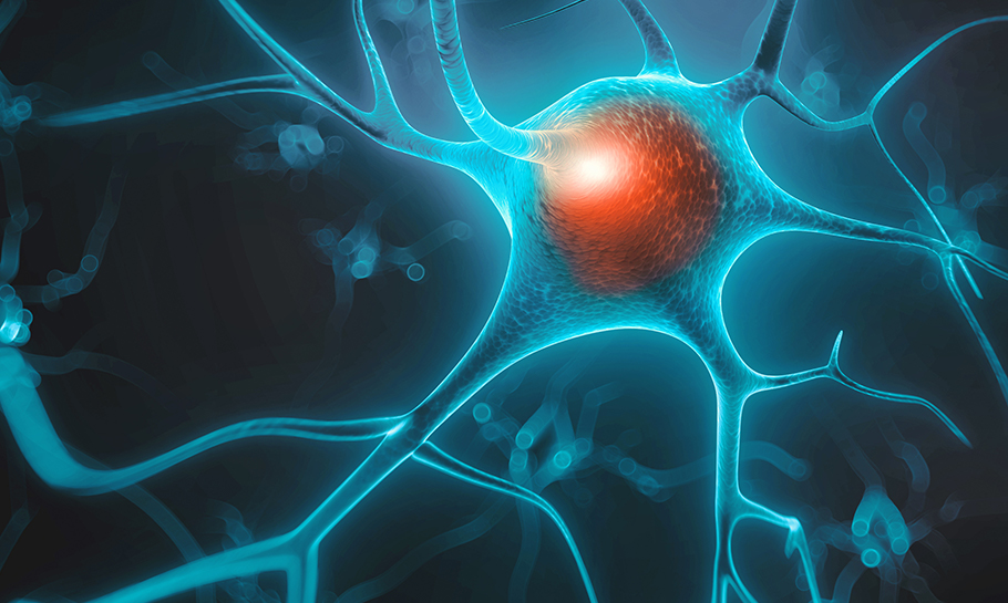 Brain and Spine synapse graphic image