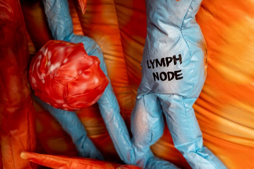 Inside the MEGA Breasts in Carbondale 