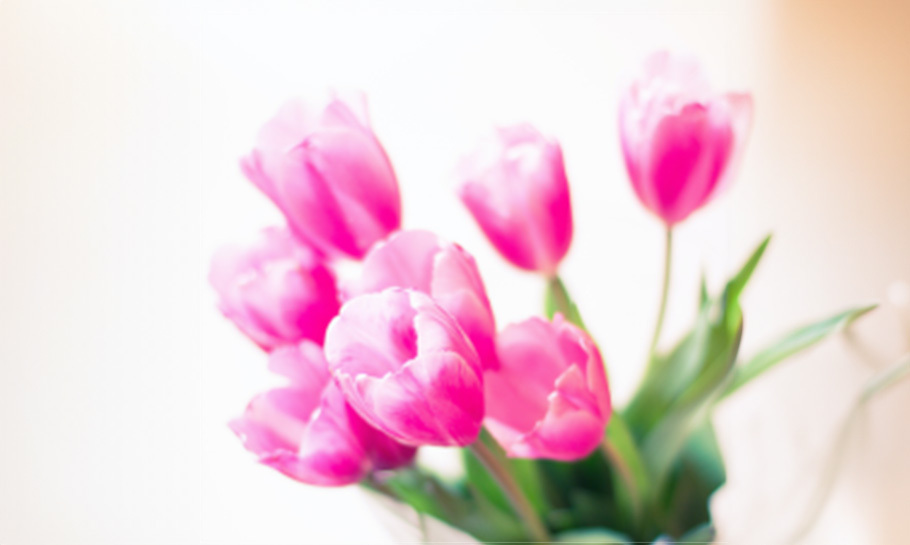 TONI Award Nomination